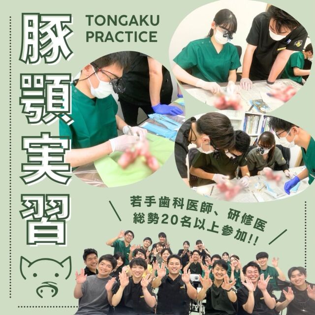 院内勉強会✏️豚顎実習🐷  今回はクリニックにて先輩ドクターによる#豚顎実習 を開催しました✨️✨️  若手歯科医師・研修医合わせて総勢20名以上の歯科医師が参加！！😳😳  先輩ドクターたちは一般診療だけでなく、インプラントやマイクロエンド、インビザラインなど幅広く学ばれている方々！！  そんな勉強熱心な先輩たちから切開も縫合も🪡教えていただくことでより理解を深めることが出来ました！！！  何よりもみんなで同じ知識を一緒に学べることが何よりも励みになります🔥🔥🔥疑問点を投げかけ合うことで、別の視点からの知識も学べる最高な環境でした🤜🏻⋆͛🤛🏻  #歯科医院#歯科衛生士#歯科助手#歯周病#歯周外科#口腔外科#インプラント#歯科医師求人#歯科医師国家試験#採用#求人#募集#就活#勉強会#セミナー#みんなで学ぶ#尾島デンタルクリニック#伊勢崎おとなこども歯科#足利おとなこども歯科#高崎おとなこども歯科#医療法人社団絆尚会  ＊尾島デンタルクリニック📍群馬県太田市下田島町1049☎️0276-61-3718  ＊伊勢崎おとなこども歯科・矯正歯科@isesakiotonakodomo📍群馬県伊勢崎市西小保方町368スマーク伊勢崎2F☎️0276-45-3755  ＊足利おとなこども歯科・矯正歯科@ashikagaotonakodomo📍栃木県足利市堀込町2474-1福居町モール内☎️0276-49-5489  ＊高崎おとなこども歯科・矯正歯科@takasakiotonakodomo📍群馬県高崎市高崎オーパ8F☎️0276-55-8066✨2023年11月1日オープン